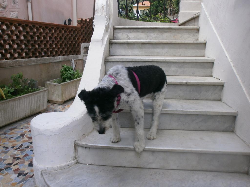 Villa Saphir Nice Luaran gambar
